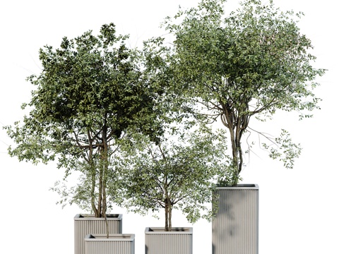  花瓶花卉3d模型 