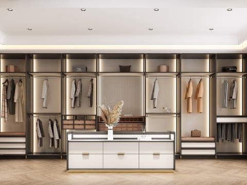  现代轻奢衣帽间3d模型 