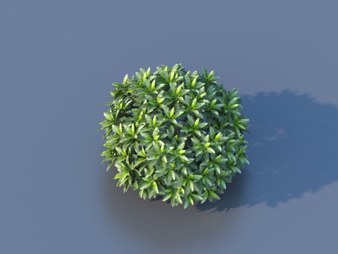  灌木3d模型 
