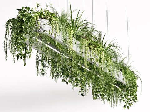 现代吊篮 吊挂植物 植物吊顶 绿植su模型