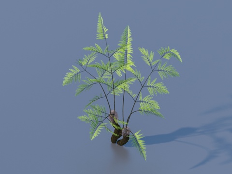  树 景观树3d模型 