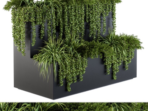  盒装常春藤植物 - 套装613d模型 