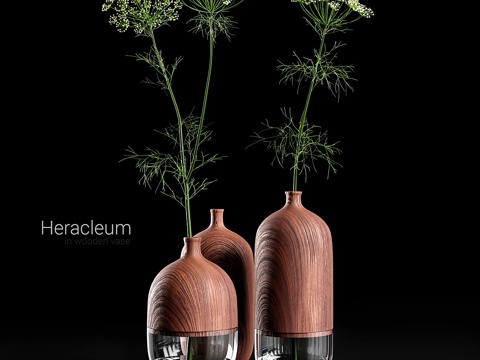  木质花瓶中的赫拉克勒斯3d模型 
