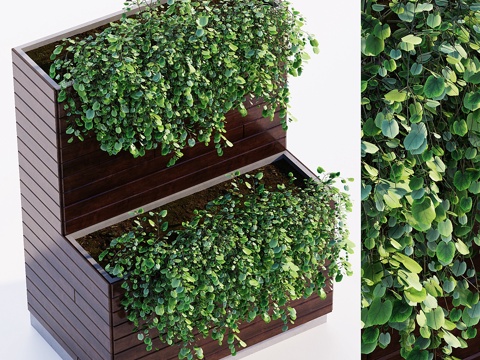  户外植物3d模型 