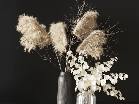  干花束_023d模型 