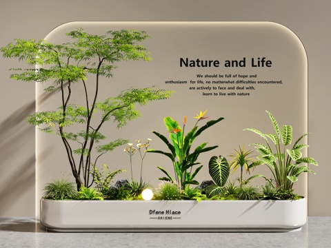  室内景观 景观造景 庭院景观 植物组合 花坛花池 植物堆3d模型 