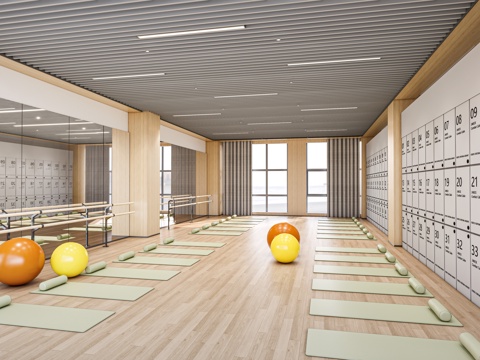 现代舞蹈教室 瑜伽室 体操室su模型