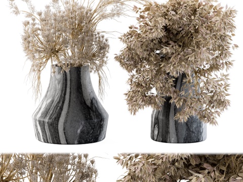  干花植物143d模型 