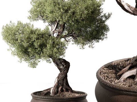  新中式绿植盆景盆栽3d模型 