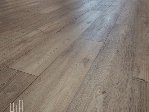  La Manchia橡木地板3d模型 