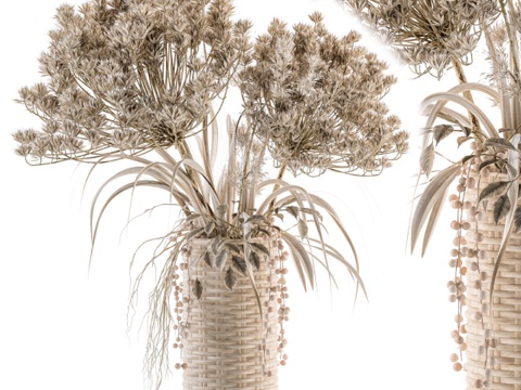  干花植物22 - 编织篮花瓶中的干花束3d模型 