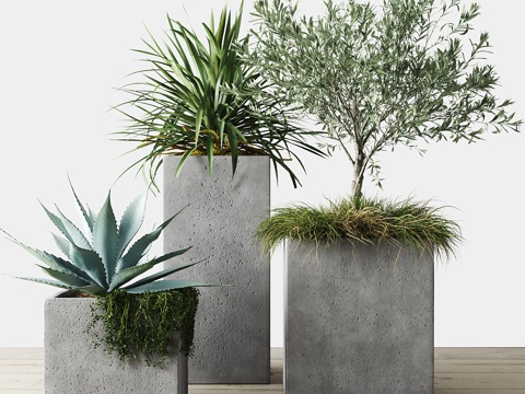  陶艺花盆中的户外植物套装3d模型 