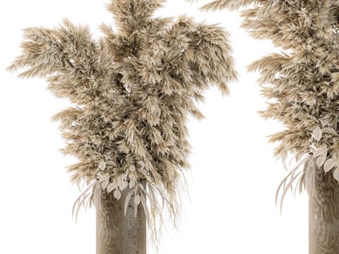  干花植物193d模型 