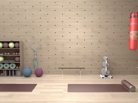 健身房和健身器械su模型