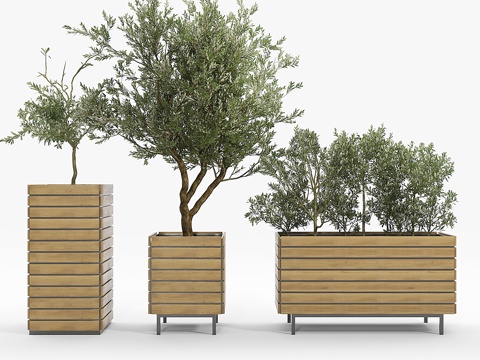  Jasper长方形种植盆 橄榄树3d模型 