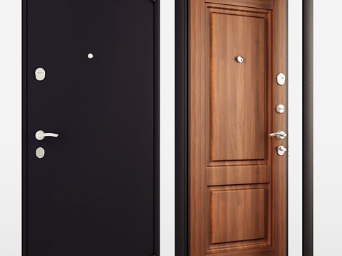  Torex品牌Snegir 55 Mp入户门3d模型 