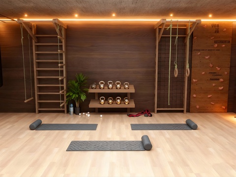 木制现代简约健身房和设备su模型