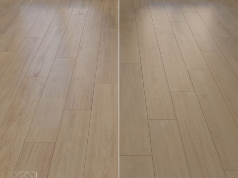  Venis坦桑尼亚套装13d模型 