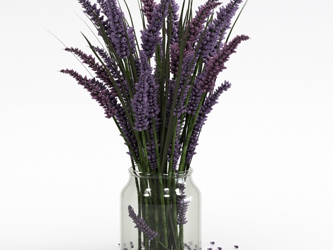  薰衣草花束3d模型 