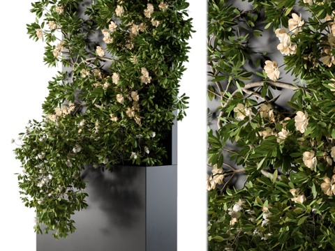  带花常春藤盆栽盒 023d模型 