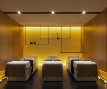  现代spa养生会所vip房3d模型 