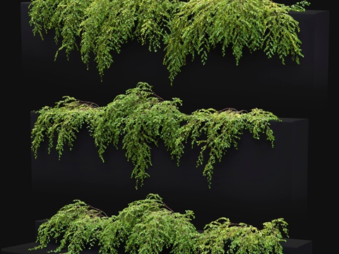  蕨蕨草 # 23d模型 