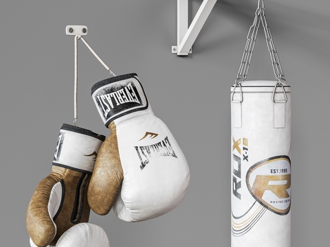  拳击运动套装3d模型 