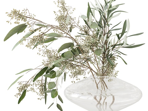  桉树花束3d模型 