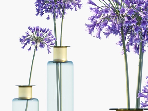  花瓶中的枝条 46  蓝雪花3d模型 