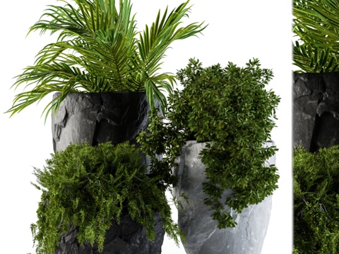  植物组合岩石盆3d模型 