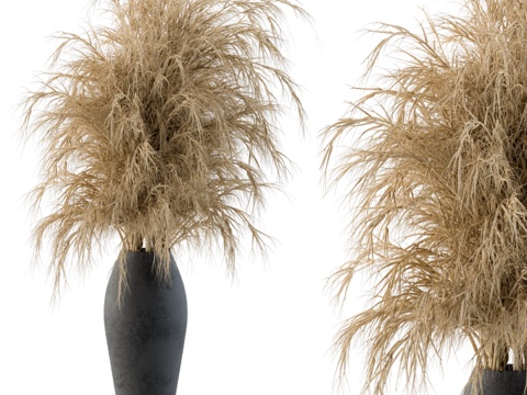  干花系列3d模型 