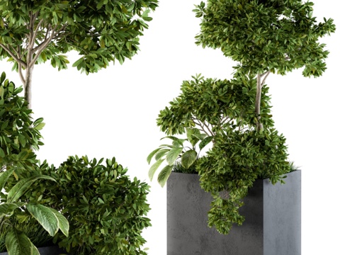 户外植物混凝土箱 - 套装583d模型 