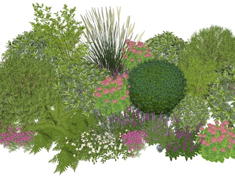  现代室内庭院植物景观组合su模型 