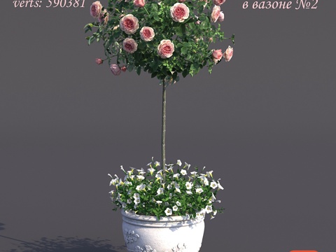  盆栽罗莎·什坦博瓦亚2号3d模型 