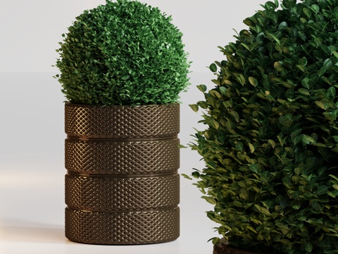  酒店盆栽植物摆件su模型 