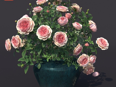  盆栽玫瑰丛 N13d模型3d模型 