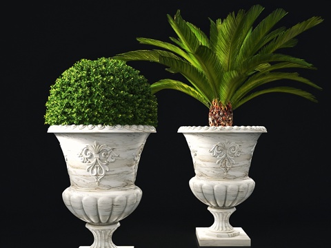  植物组合053d模型 