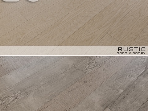  Balterio No. 63d模型 