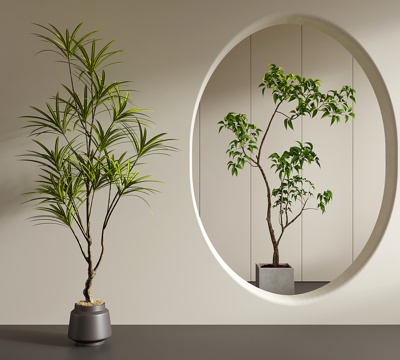 奶油风绿植盆栽 南天竹 榕树 千年木 龙血树su模型su模型