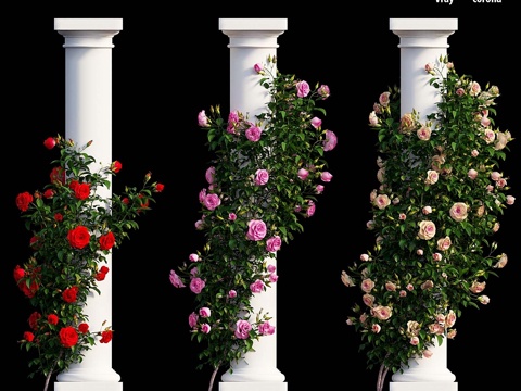  玫瑰植株套装103d模型 