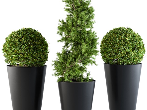  户外植物造型3d模型 