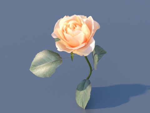  花 野花 绿植 花朵3d模型 