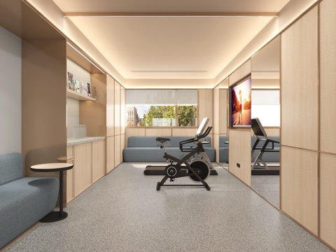  酒店健身房私人健身房3d模型 