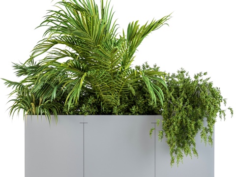  灰色植物箱配热带植物3d模型 