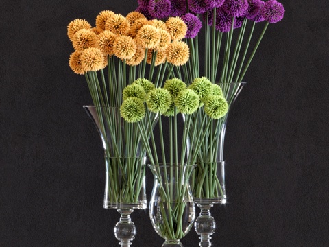  花艺设计 葱属植物套装13d模型 