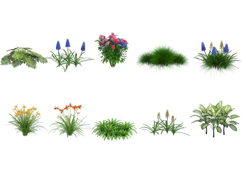  植物 花草3d模型 