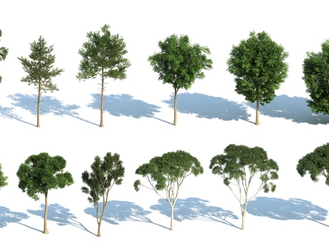  现代树 植物 杨树 槐树 法桐 梧桐树 景观树3d模型 