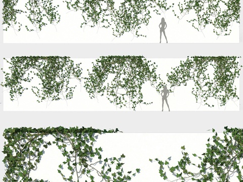  常春藤墙033d模型 