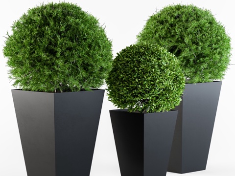 户外植物圆形款3d模型 
