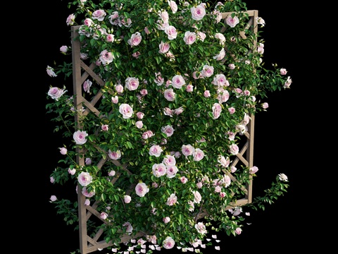  玫瑰植物套装133d模型 